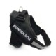 Arnés Wonder Dog Talla M #Pt015M