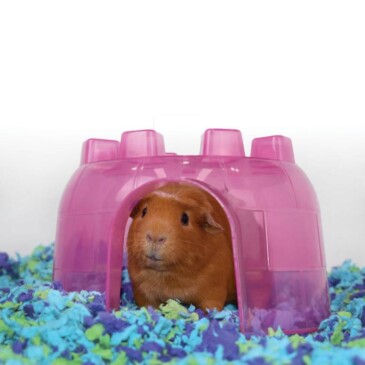 Sustrato De Papel Carefresh Sea Glass 10 Lts #L0811 - Imagen 2