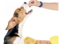 Snacks Fit Formula Calugas Masticable Filete - Imagen 2