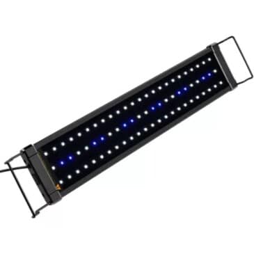 Luz Led acuario Blanca 80cm Blanco Azul #QL-80B