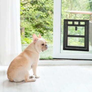 Puerta Abatible para Instalación en Vidrios #c408 - Imagen 3