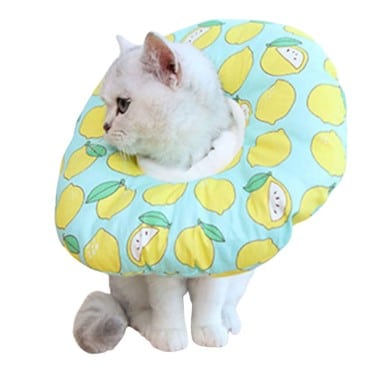 Collar Isabelino Acolchado Gato #XYZ01-S MBN