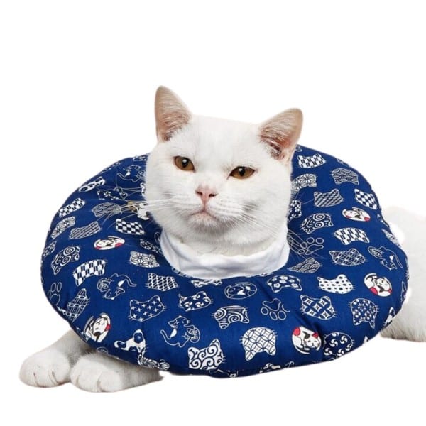 Collar Isabelino Acolchado Gato #XYZ01-M