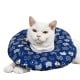 Collar Isabelino Acolchado Gato #XYZ01-M