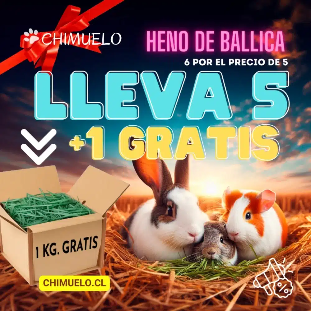 Heno De Ballica Chimuelo 6x5