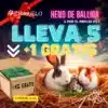 Heno De Ballica Chimuelo 6x5