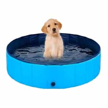 Piscina para Mascotas 120cm MBN
