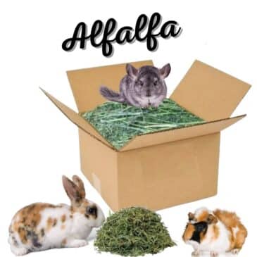 Heno De Alfalfa Chimuelo 8x7