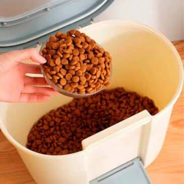 Contenedor Alimento Mascotas 5Kg MBN #LS209 - Imagen 2