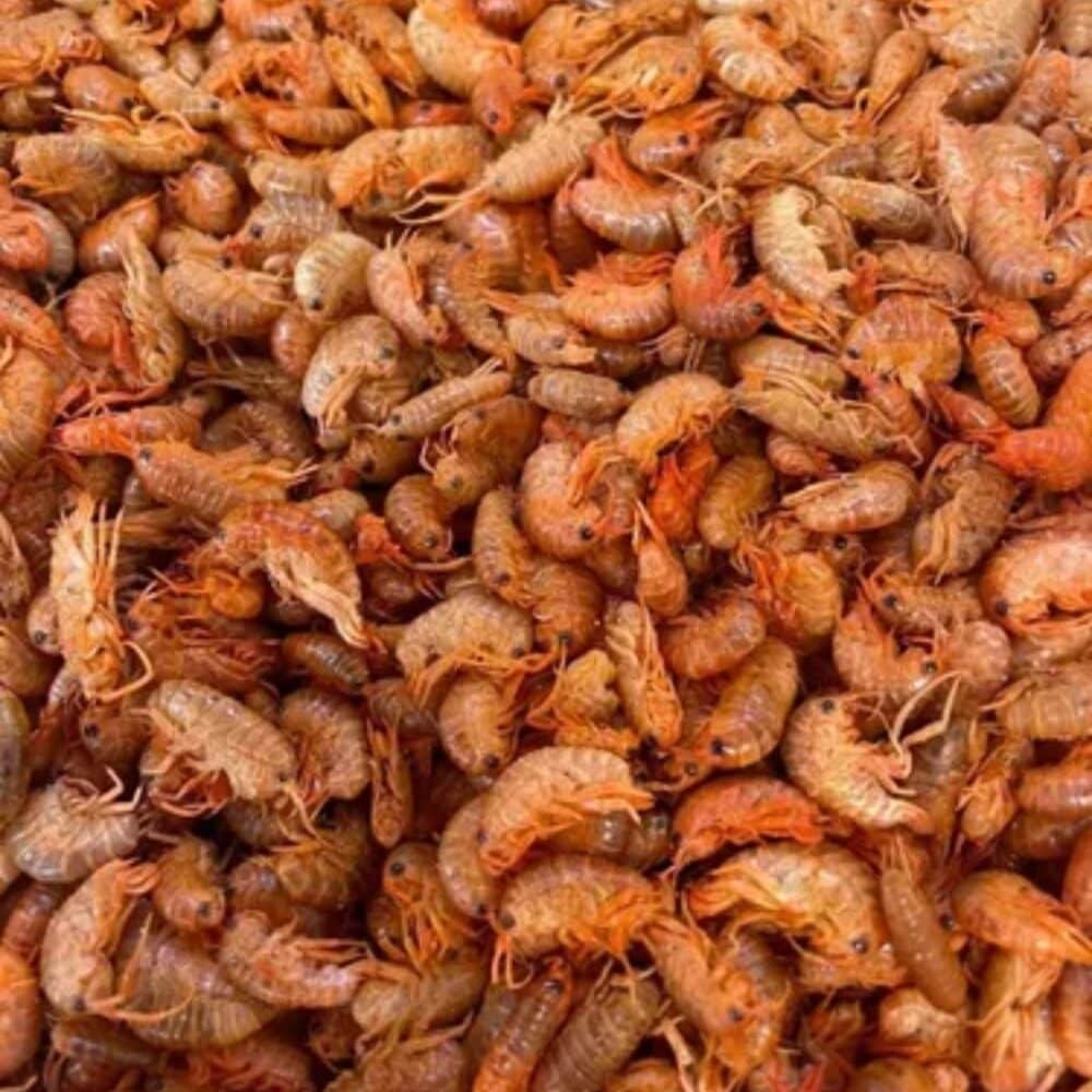 Pulgas de Mar 25G MBN #FPM