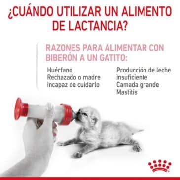 Leche Babycat Para Gatos 300gr #273630 - Imagen 3