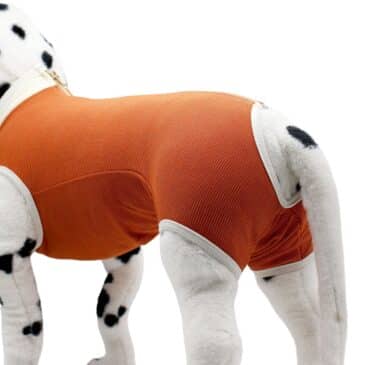 CUNATEX BODY DE COBRE PARA PERRO TALLA 13 #5008160 DGÑ