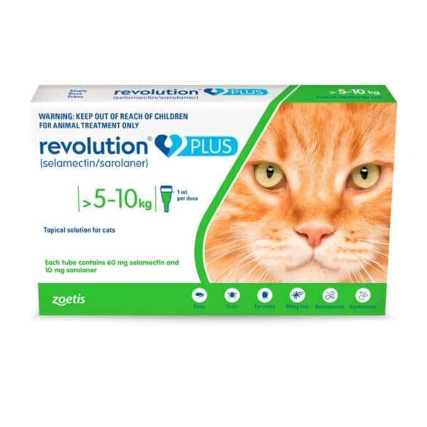 Revolution Plus 5 a 10k DGÑ