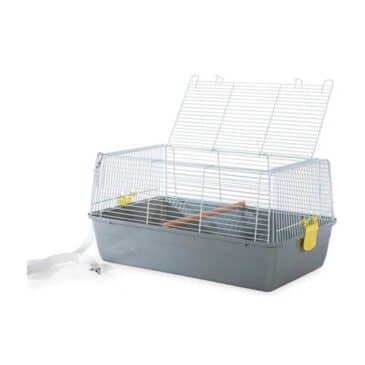 Jaula con Correa - Imagen 2