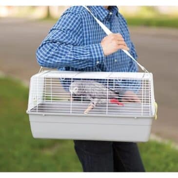 Jaula con Correa - Imagen 4