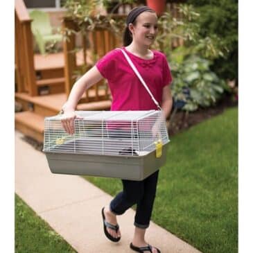 Jaula con Correa - Imagen 5