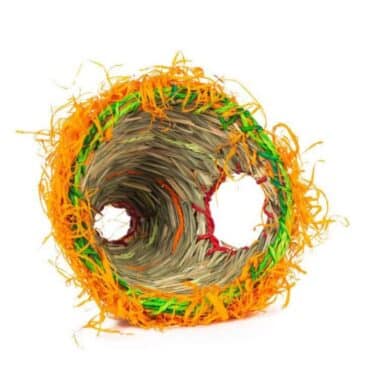 Casa Refugio de Pasto Fiesta Prevue M - Imagen 2