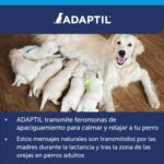 ADAPTIL Calm Difusor + Repuesto 48ML  DGÑ - Imagen 5