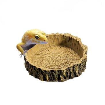 Plato para Reptiles con Diseño Tronco #LVL657