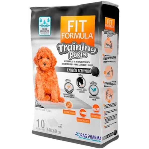 SABANILLAS FIT CARBON PADS 10 u(60 x 60) #56-0920