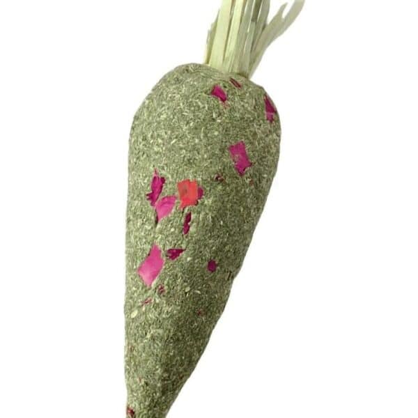 SNACK TIMOTHY CON FORMA DE ZANAHORIA (TR-056)
